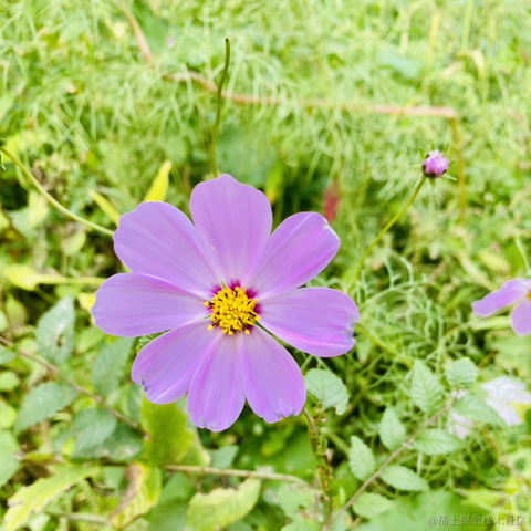 摄氏40度于2021-09-22 09:29发布的图片