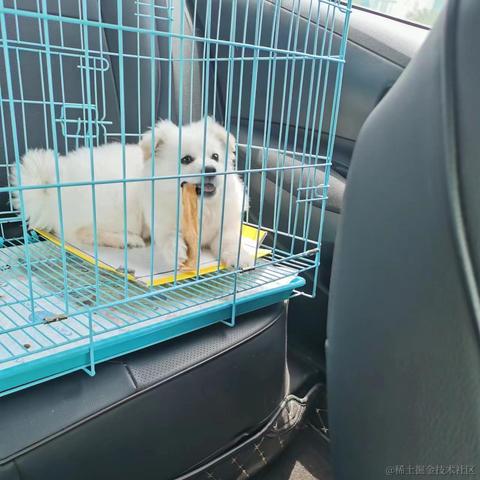 抓哇练习生于2023-05-25 15:54发布的图片