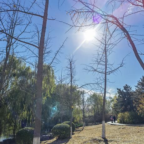 好耶仔仔棒于2022-11-26 09:03发布的图片