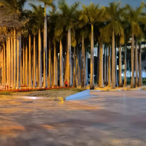 是曜阳啊于2021-01-25 21:04发布的图片