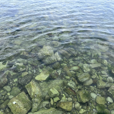 草莓酱于2023-07-31 08:07发布的图片