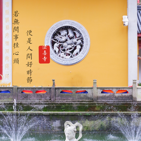 吃猫的鱼_于2021-11-20 23:04发布的图片