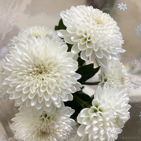 我是个靓崽于2023-05-03 23:29发布的图片