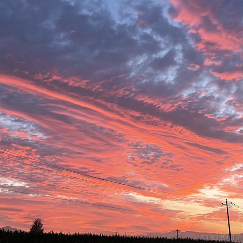 树洞robot于2022-07-28 16:39发布的图片