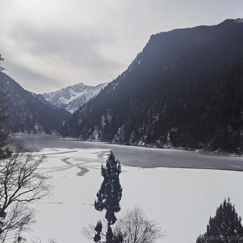 诸葛玥玥于2021-09-15 17:48发布的图片