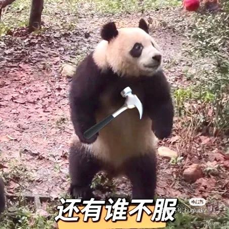 LINer于2023-04-06 23:53发布的图片