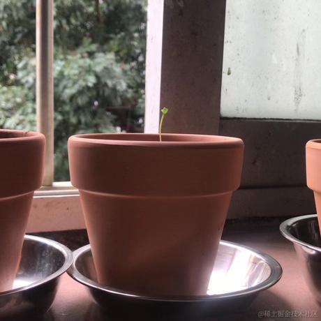 六条御息所于2023-06-19 19:42发布的图片