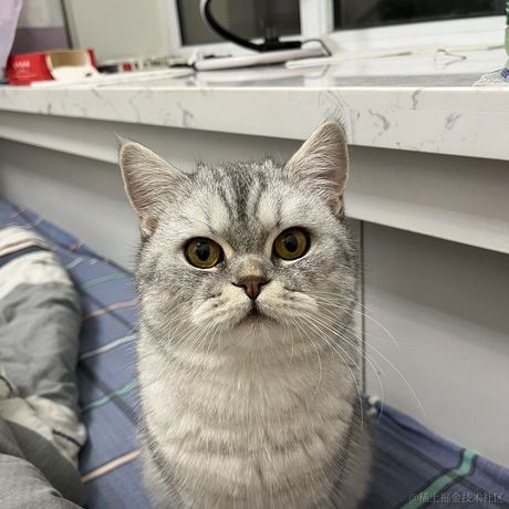 进阶的小叮当于2023-05-18 21:46发布的图片