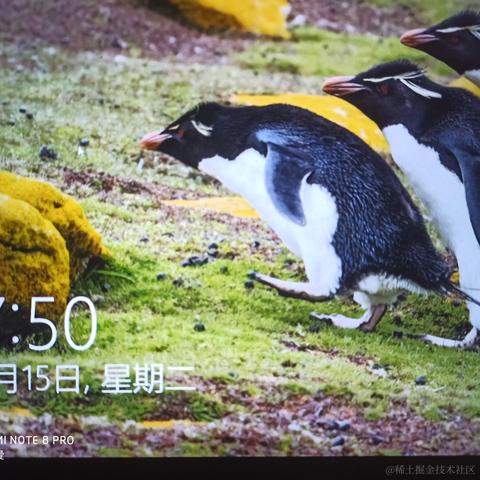 刘小爱于2020-09-15 08:29发布的图片