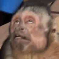 芝士面包于2023-04-09 20:57发布的图片