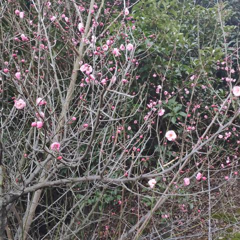 getify于2023-01-26 01:47发布的图片