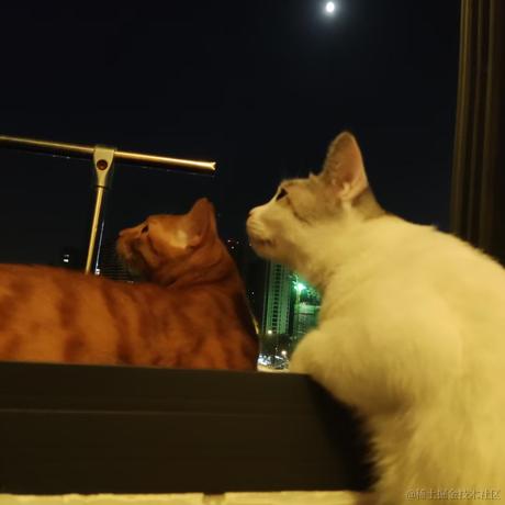 南方者于2022-06-06 19:52发布的图片