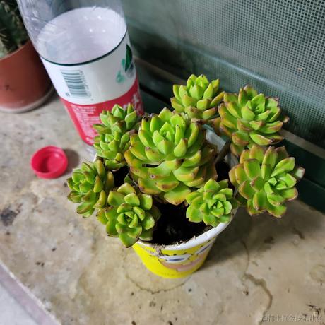 飞翔的路由器于2023-05-09 00:16发布的图片