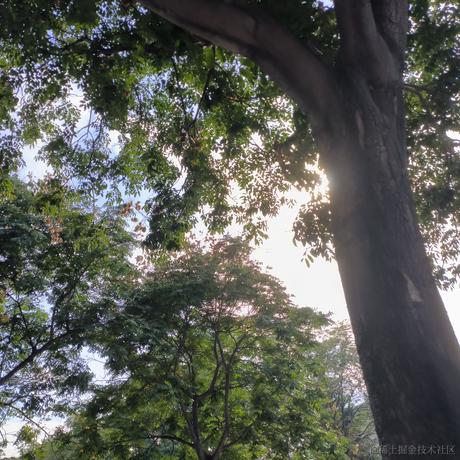 大脑袋瓜子于2022-11-20 16:40发布的图片