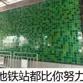 太平510于2023-05-23 00:08发布的图片