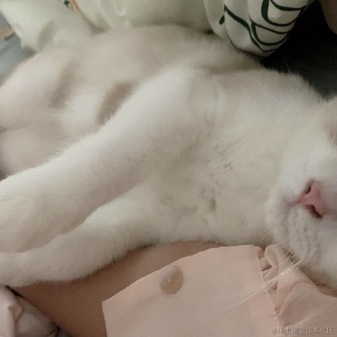 pp同学于2021-10-28 14:32发布的图片