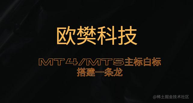 外汇白标主标搭建