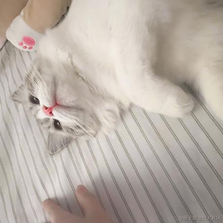 萧兮于2022-11-20 20:53发布的图片