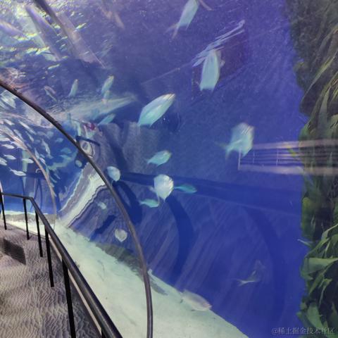 吃鱼徐于2023-05-24 10:37发布的图片