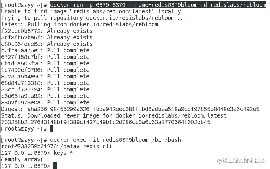Redis BloomFilter实例讲解  第1张
