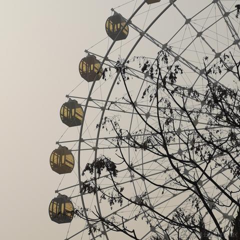 CYQ的理想三旬于2023-11-03 09:10发布的图片