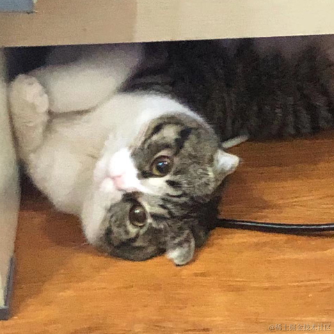 Daenery于2021-11-27 09:06发布的图片