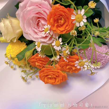 张百万于2022-11-24 17:30发布的图片