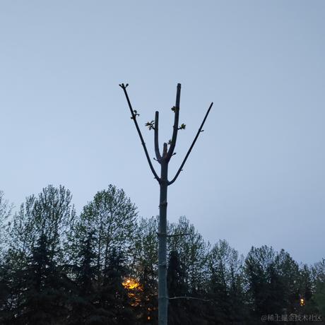 从0开始的go世界于2023-04-14 00:19发布的图片