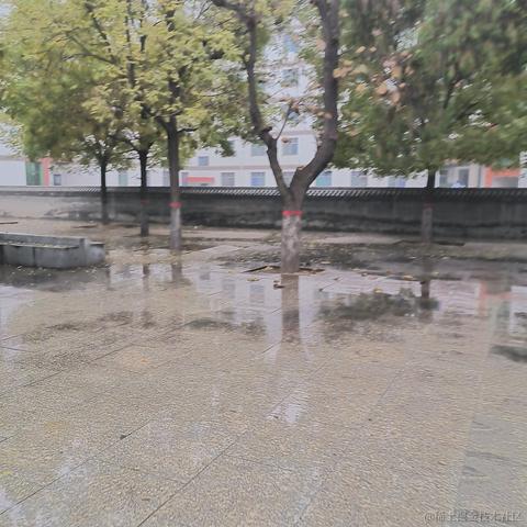 彧琰勳瑛于2022-11-11 16:31发布的图片