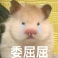 资本的小韭菜于2022-03-25 21:09发布的图片