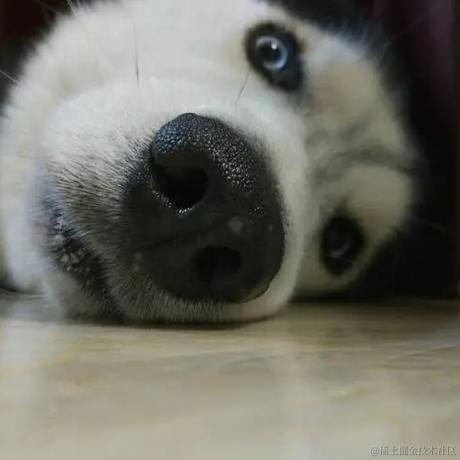 节约用电的小熊猫于2023-04-18 09:17发布的图片