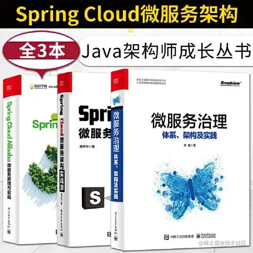 Spring Cloud Alibaba 微服务原理与实战