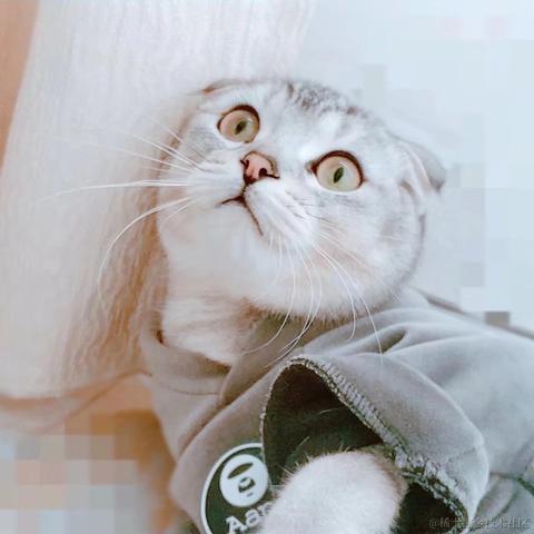 已注销于2021-01-14 20:11发布的图片