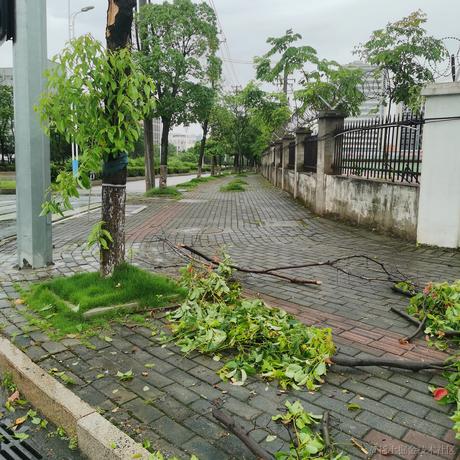 沉默的桑于2023-06-24 08:24发布的图片