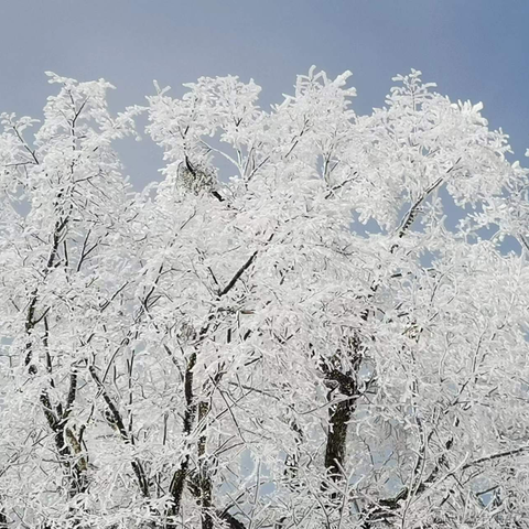 小旧_于2022-11-13 17:27发布的图片