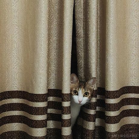 程序出问题与我何干于2023-07-31 16:54发布的图片