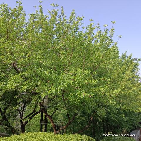小婷呀于2023-04-15 22:48发布的图片