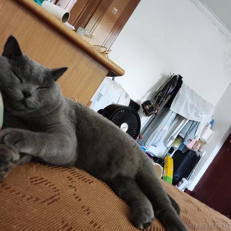 0608于2022-09-02 08:47发布的图片