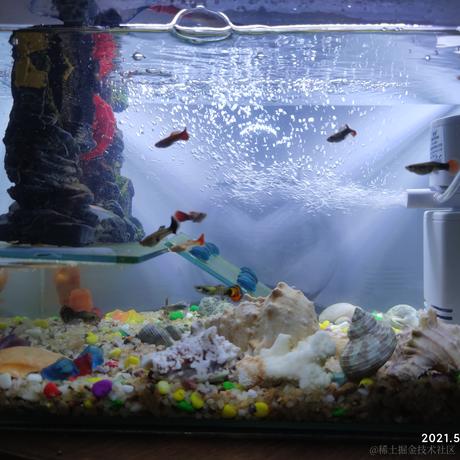 云想衣裳花想容于2021-05-23 13:44发布的图片