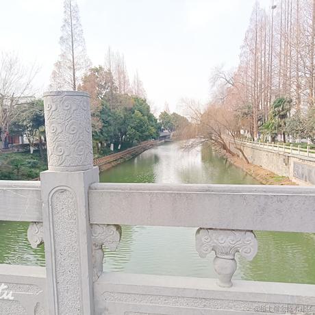 因风于2023-01-25 23:04发布的图片