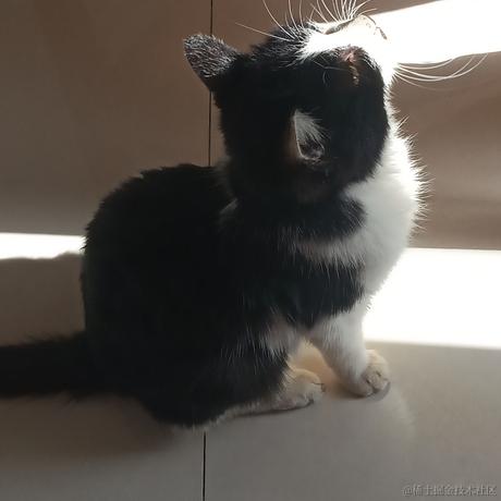 晚里只有鱼于2022-12-01 21:05发布的图片