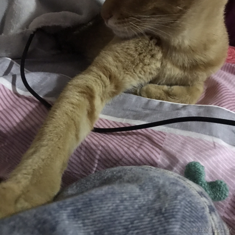 Li_Cat001于2021-02-02 07:34发布的图片