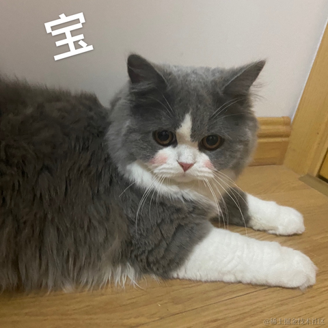 小北丶于2021-06-19 20:23发布的图片