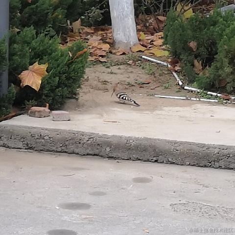 RcubyN70于2022-11-20 09:05发布的图片