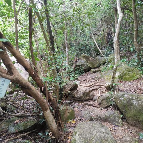 最甜甜甜的小草莓于2022-11-09 04:33发布的图片