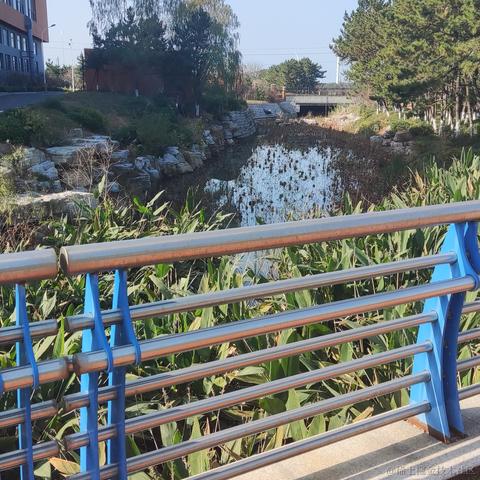 理塘丁真小马珍珠于2022-11-23 11:36发布的图片