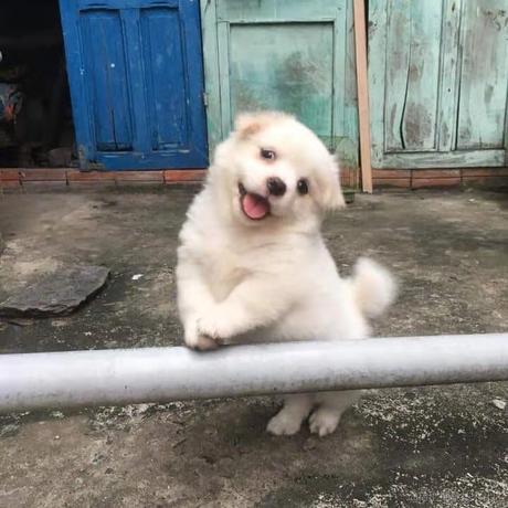 好一点于2021-01-04 09:24发布的图片