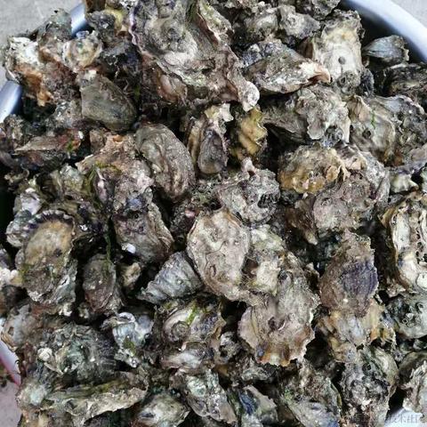 是但求其愛于2021-03-04 15:46发布的图片
