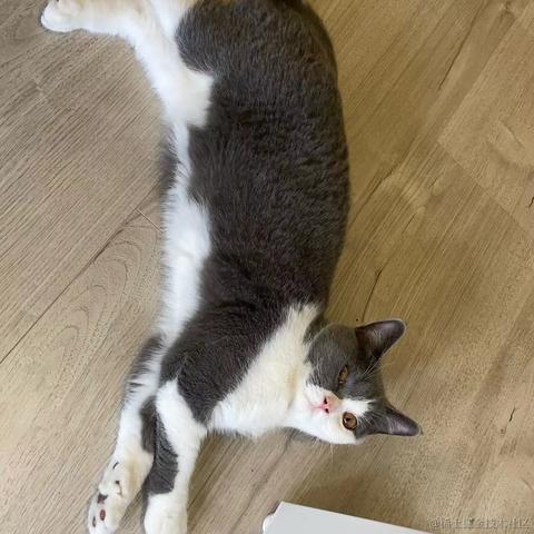 Livingbody于2021-10-27 19:22发布的图片