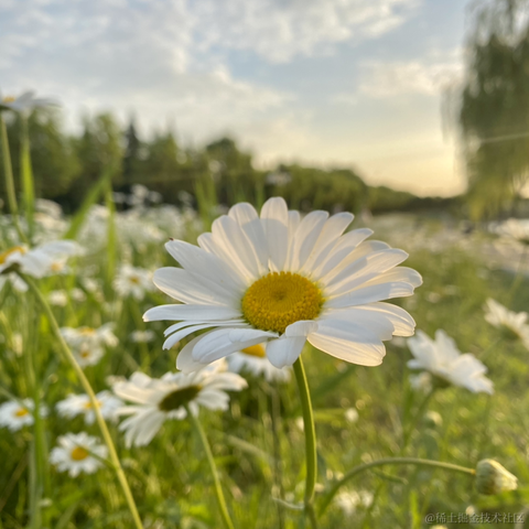 摄氏40度于2021-09-15 15:26发布的图片